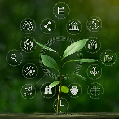 Labelliser une organisation RSE